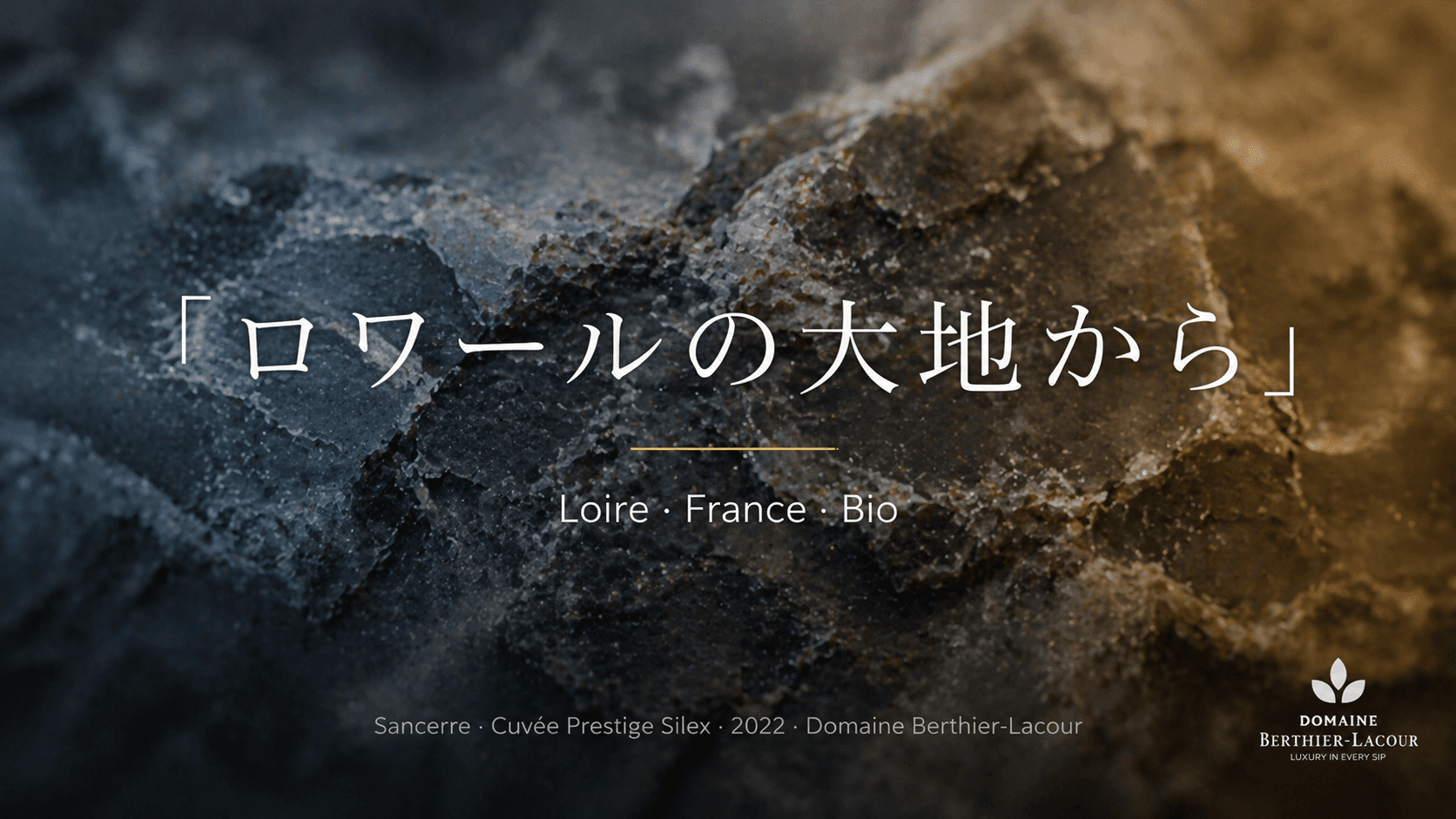 Domaine Berthier-Lacour — Branding 1