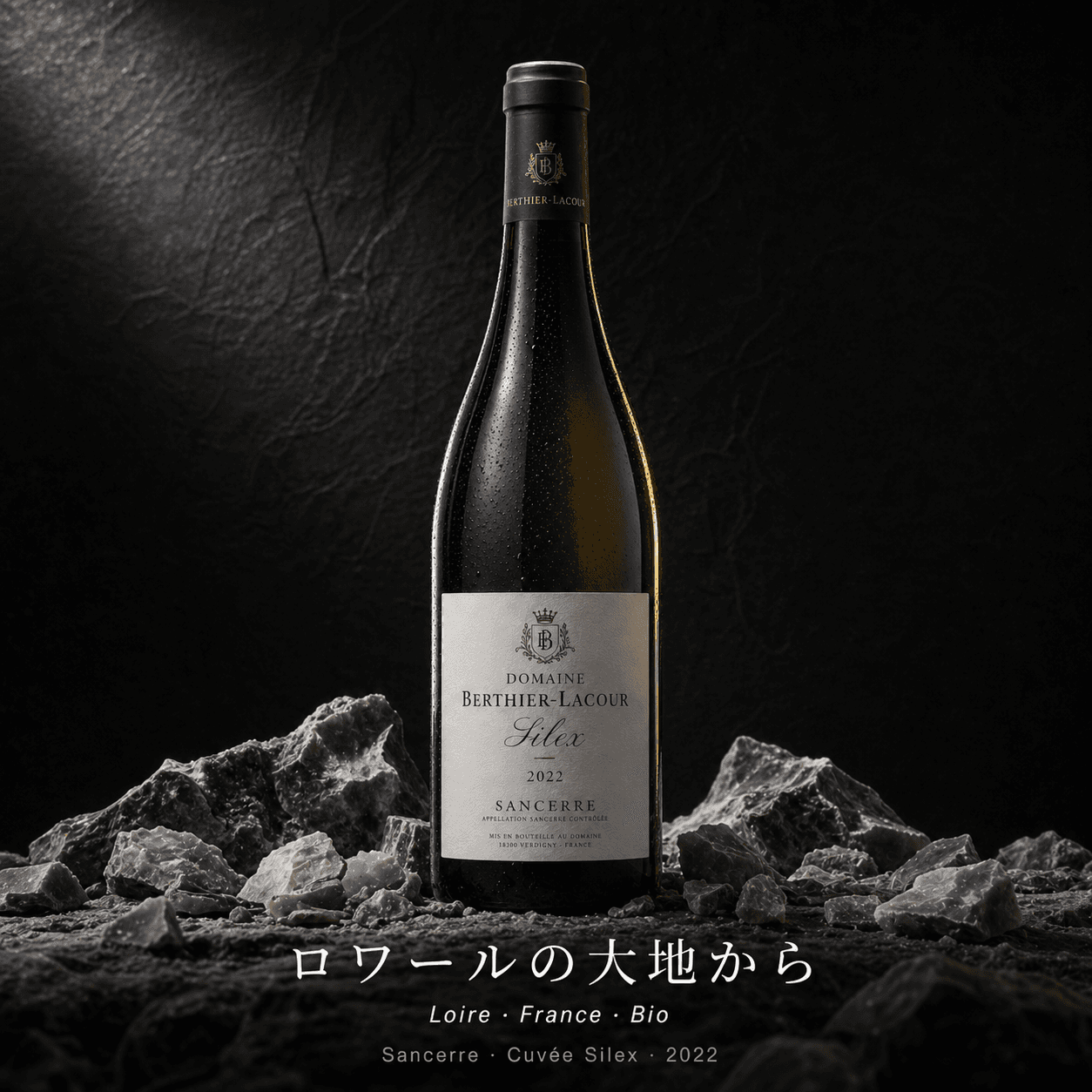 Domaine Berthier-Lacour — Hero 1