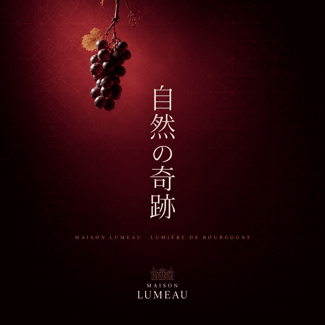 Maison Lumeau — Branding 1